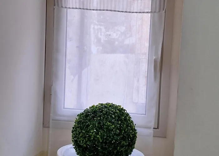 Eruption1669 * 카타니아